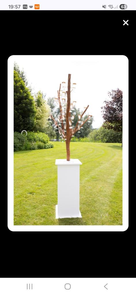 Champagne boom te koop. Bruiloft decoratie te koop, Ophalen of Verzenden, Zo goed als nieuw, Versiering, Geboorte of Huwelijk