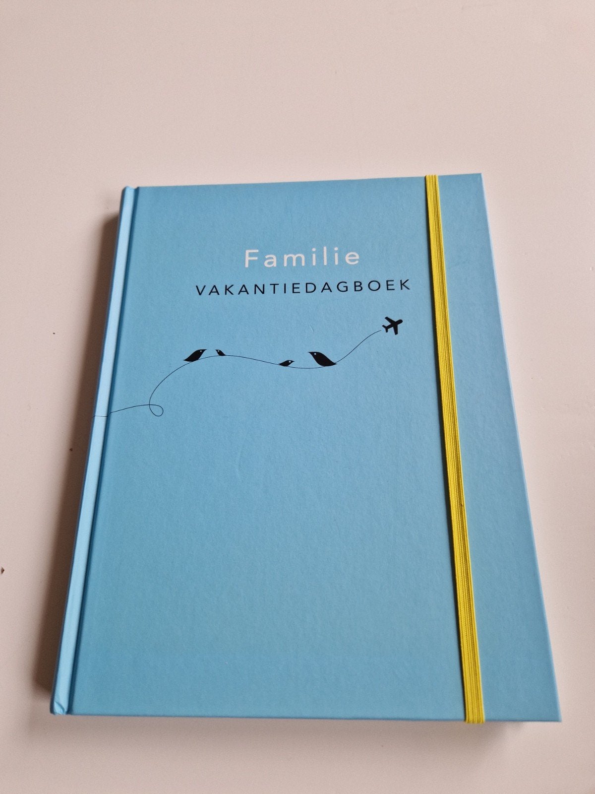 Familie Vakantiedagboek - Nieuw, Ophalen of Verzenden, Nieuw, Elma van Vliet