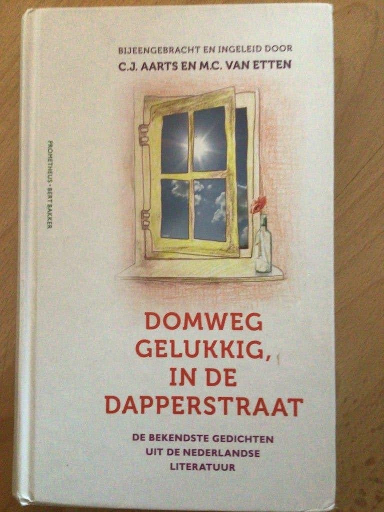Domweg gelukkig in de Dapperstraat, Ophalen of Verzenden, Zo goed als nieuw, Meerdere auteurs