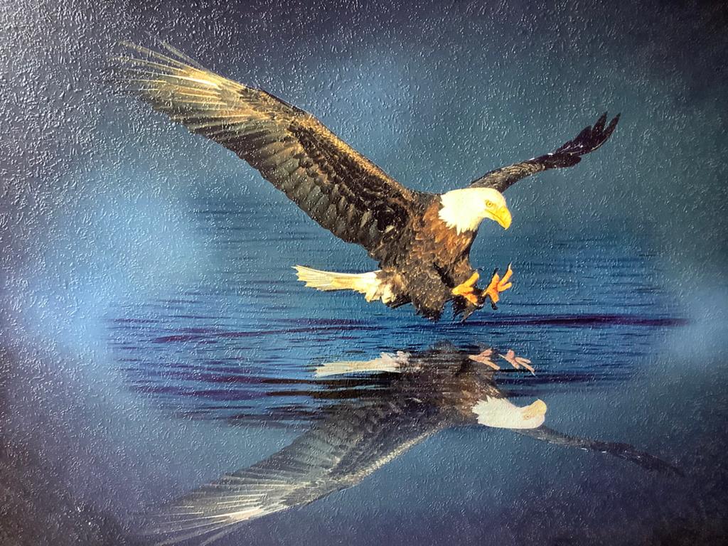 Prent schilderij vliegende adelaar op het water, Ophalen, Minder dan 50 cm, Schilderij