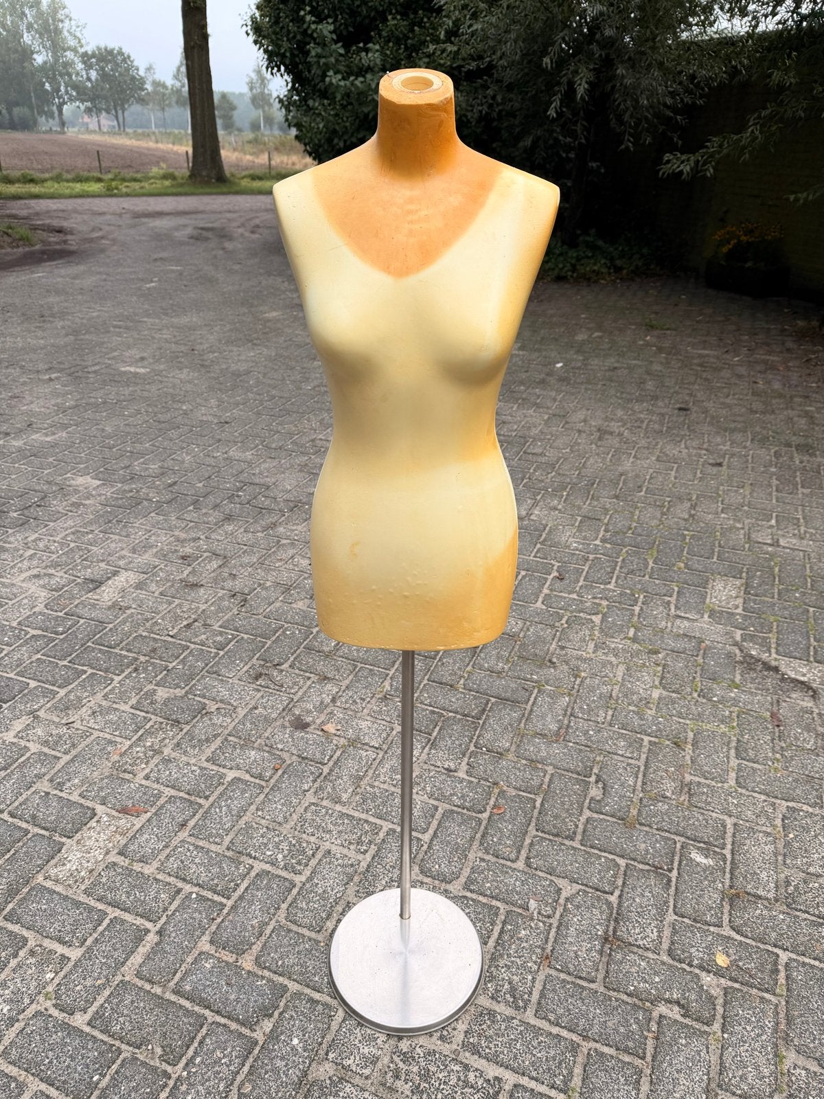 Dames paspop torso S (spelden in prikken), Ophalen, Onbekend, Onbekend, Onbekend