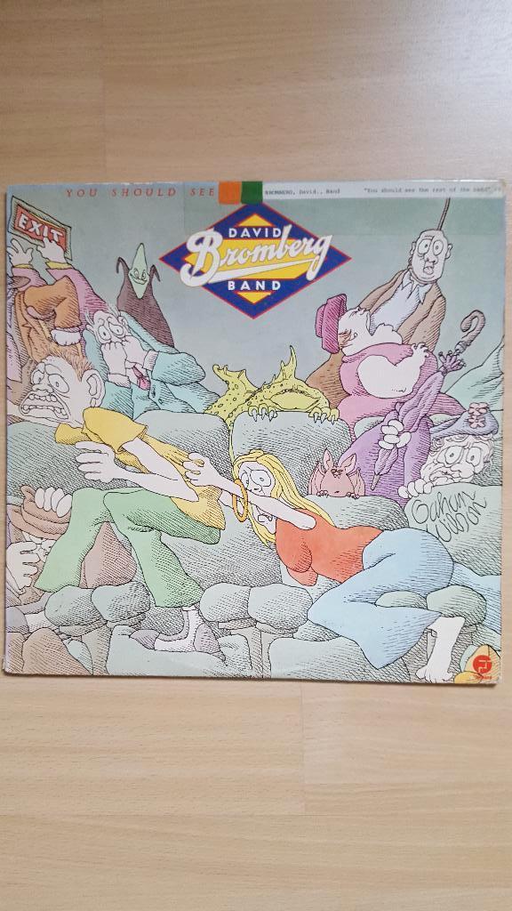 David Bromberg-You should see the rest of the band LP USA, Ophalen of Verzenden, Gebruikt, 12 inch