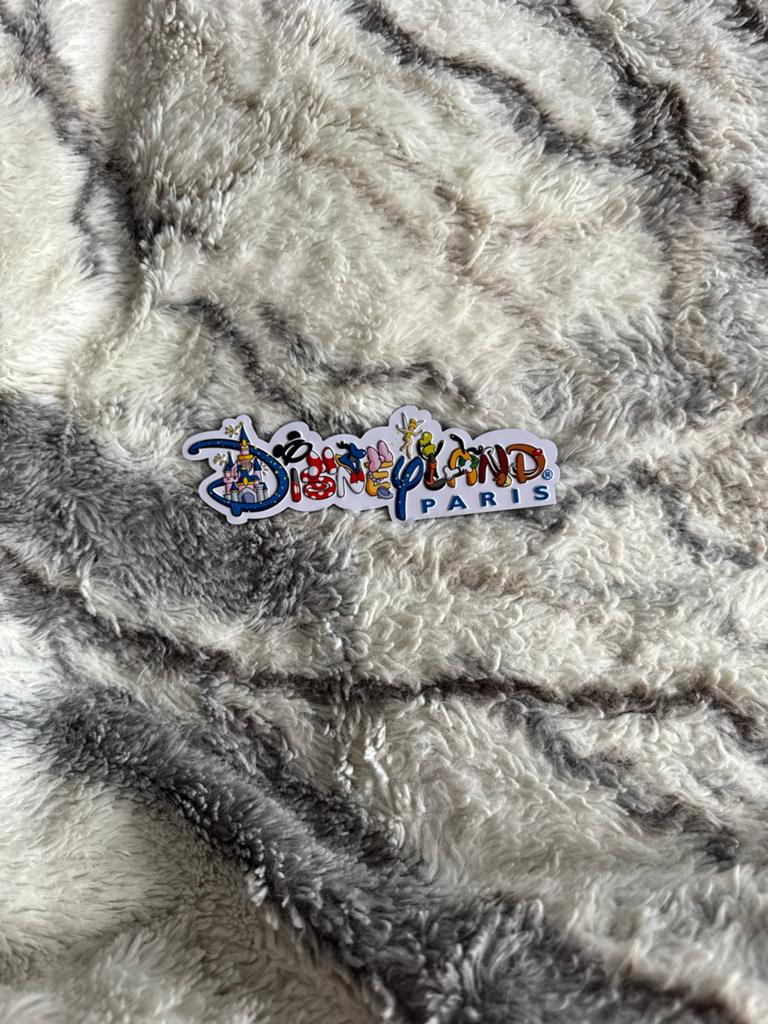 Disneyland paris magneet, Ophalen of Verzenden, Overige figuren, Nieuw