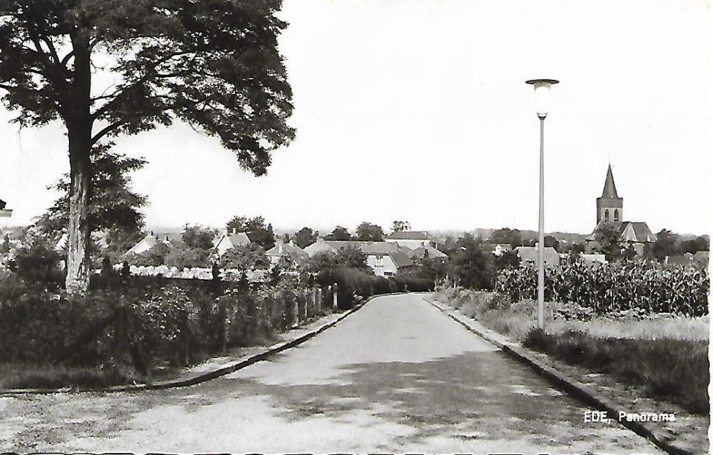 Ede- -Panorama., Verzenden, 1960 tot 1980, Gelopen, Gelderland