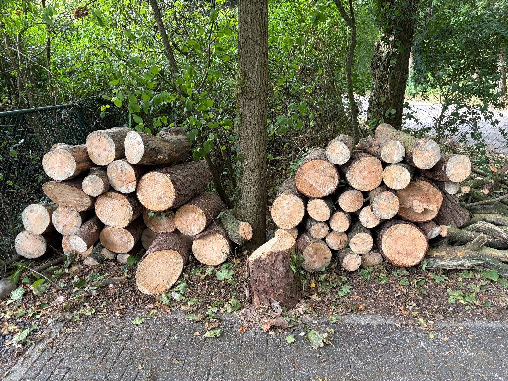 Gratis afhalen haardhout, Tuin en Terras, Haardhout, Minder dan 3 m³, Ophalen, Overige houtsoorten, Blokken
