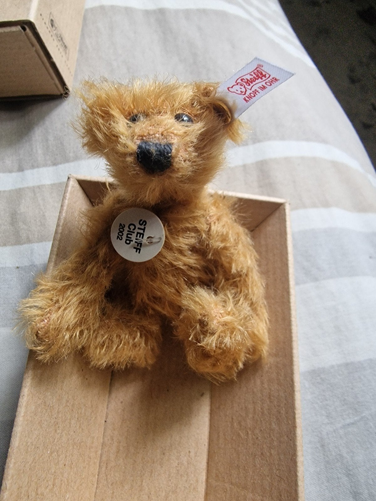 Steiff Club Geschenk Teddybeer Zimt 2002/2003, Verzamelen, Beren en Cherished Teddies, Ophalen of Verzenden
