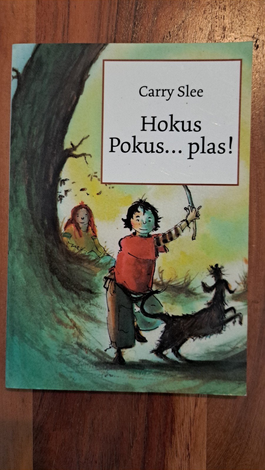 Hokus Pokus... plas! - Carry Slee, Ophalen of Verzenden, Gelezen, Carry Slee, Fictie algemeen
