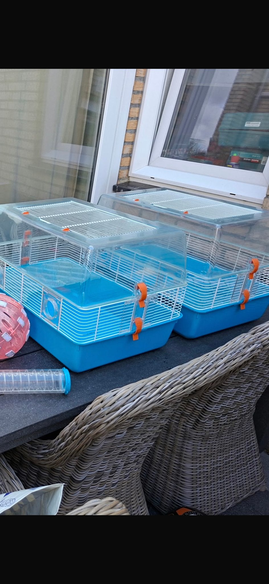 Hamsterkooi met bijbehorende spullen, Dieren en Toebehoren, Knaagdieren, Hamster, Geslacht onbekend, Januari, Tam