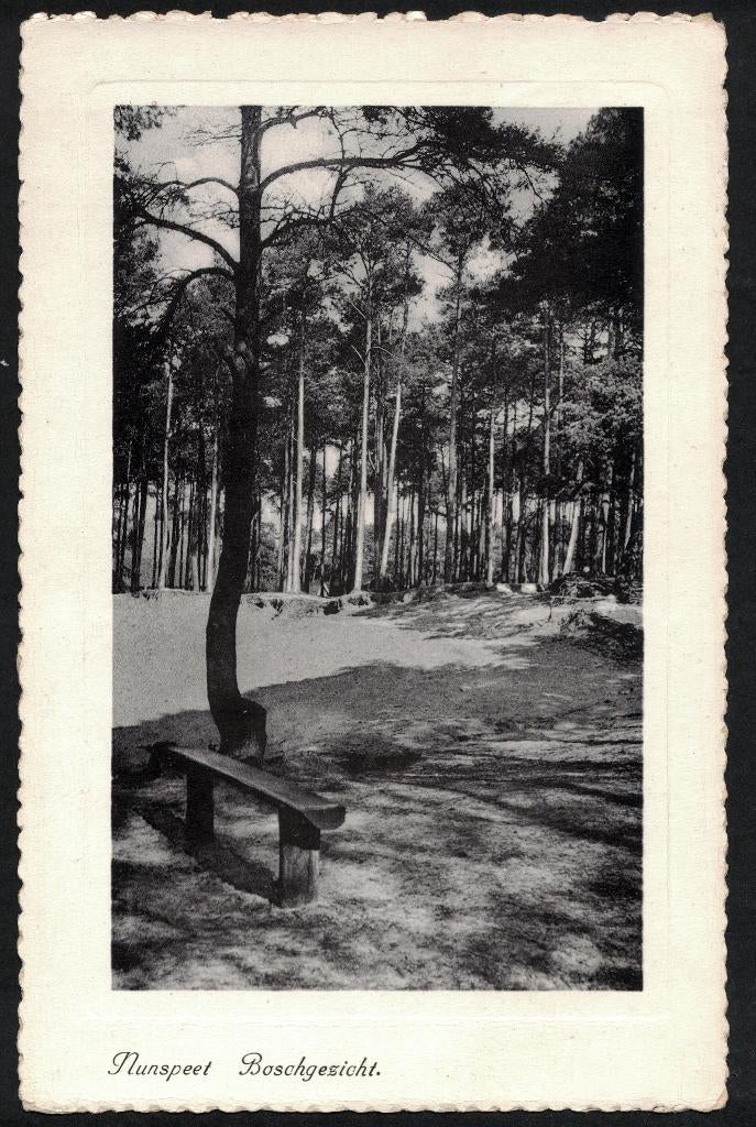 Nunspeet, Boschgezicht. 1942., Ophalen of Verzenden, 1940 tot 1960, Gelopen, Gelderland