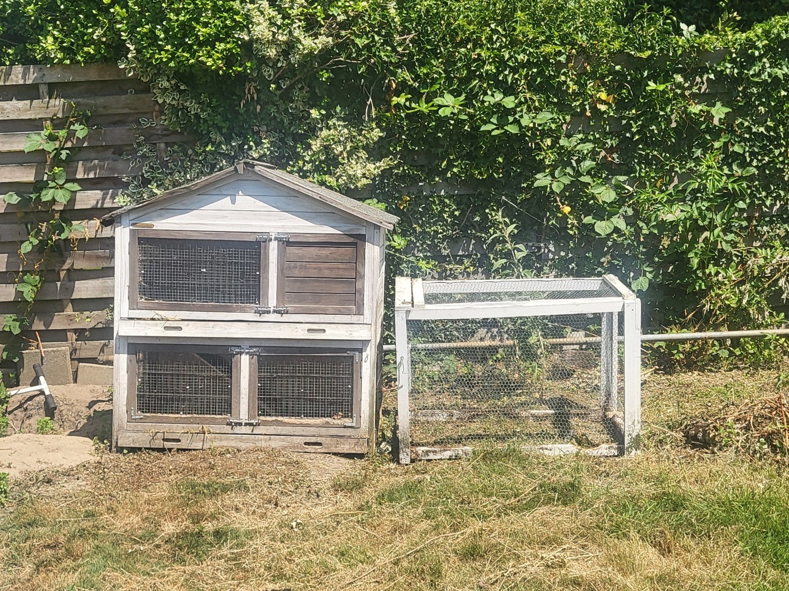 Gratis konijnenhok met ren, opknappertje, Dieren en Toebehoren, Knaagdieren en Konijnen | Hokken en Kooien, Ophalen, 110 cm of meer
