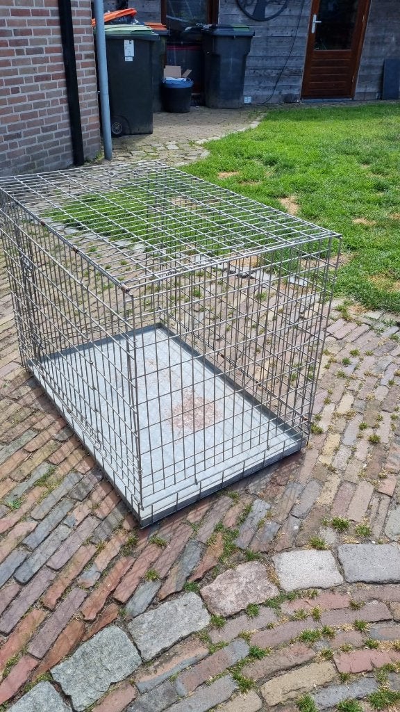 Honden kooi bench draakd110cmx73cmx87cm hoog, Ophalen, Gebruikt