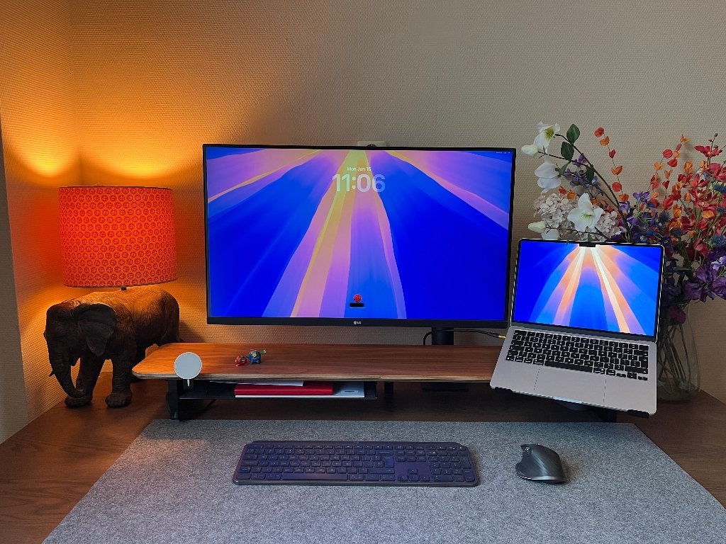 LG UHD 4K Ergo IPS-monitor with 60W USB Type-C charging, Computers en Software, Monitoren, Ophalen, Touchscreen, 60 Hz of minder