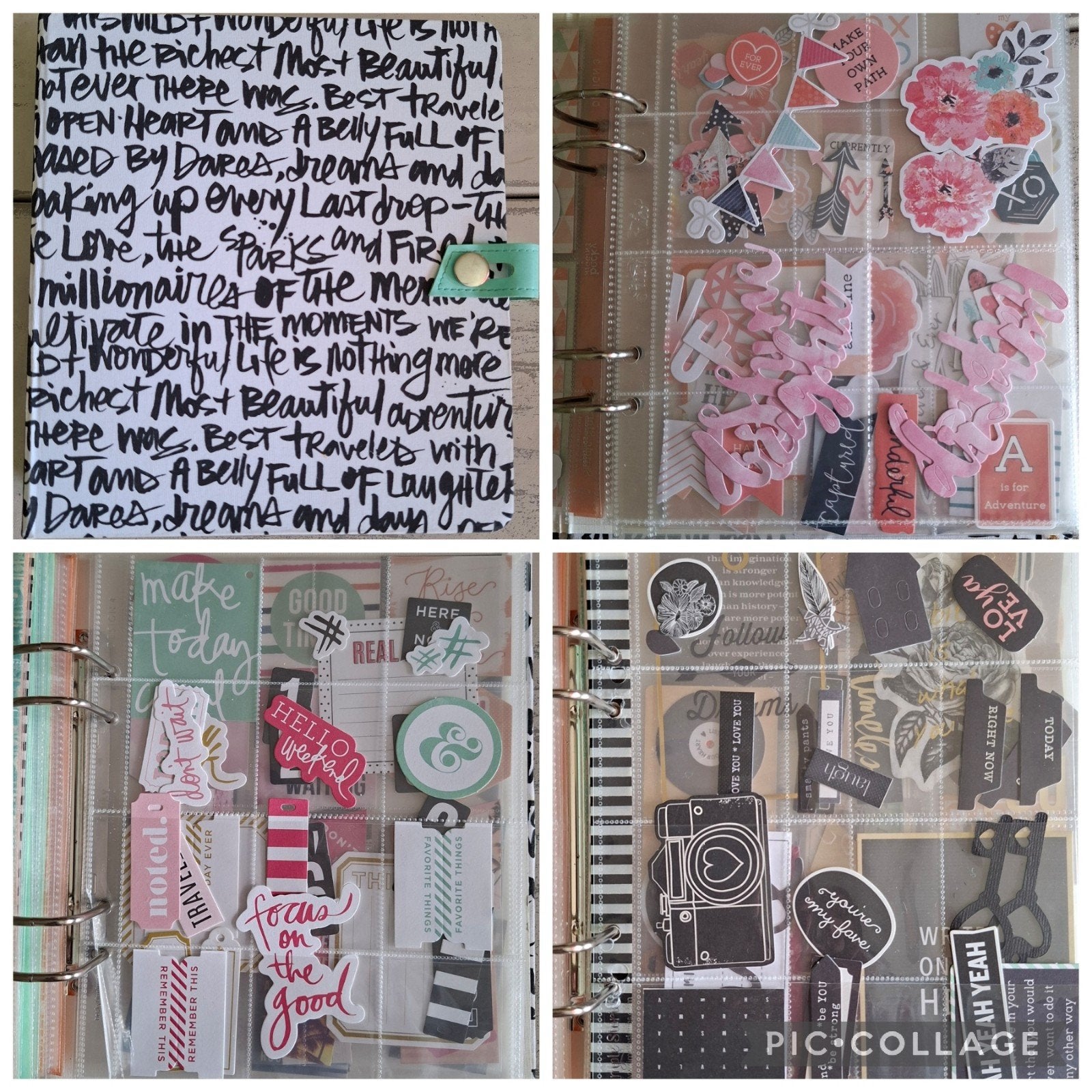 Die-Cuts Ephemera in Map met 60 gevulde hoezen., Ophalen of Verzenden, Zo goed als nieuw, Versiering of Embellishment, Overige merken