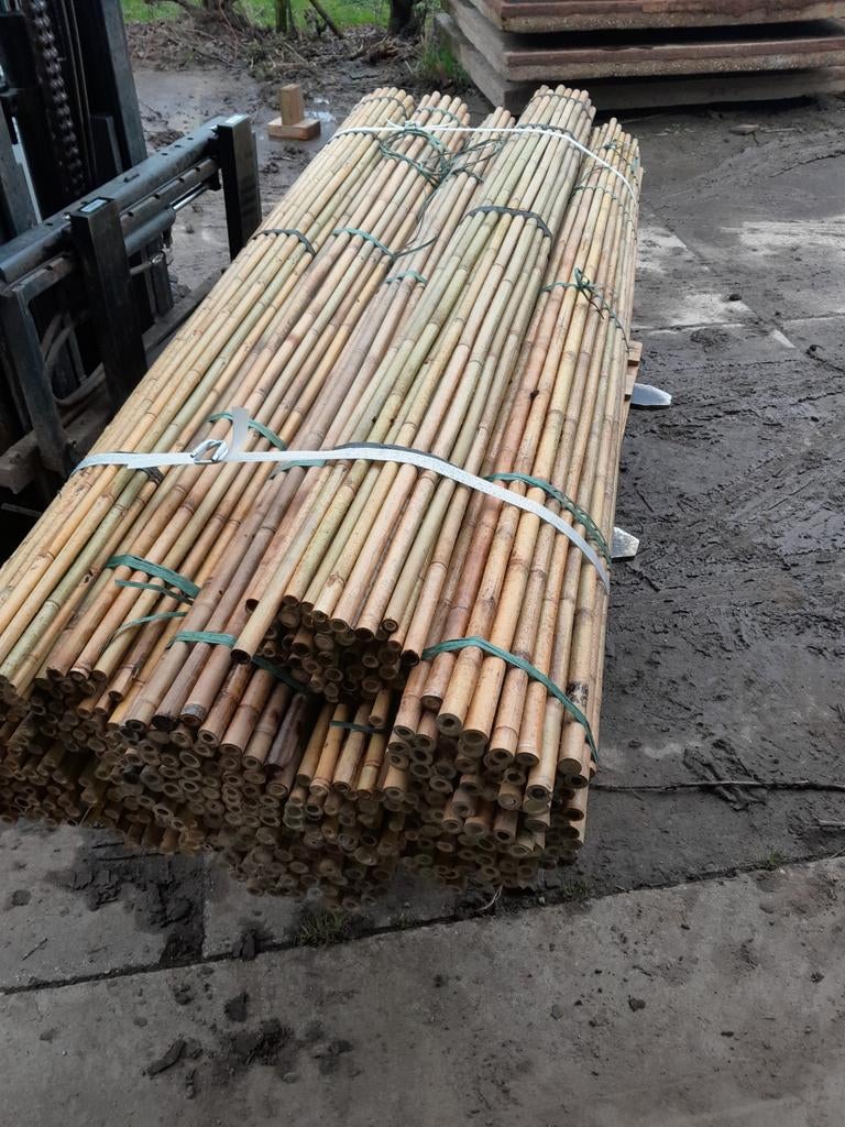 Bamboestokken, Tuin en Terras, Palen, Balken en Planken, Ophalen, Nieuw, Minder dan 180 cm, Palen