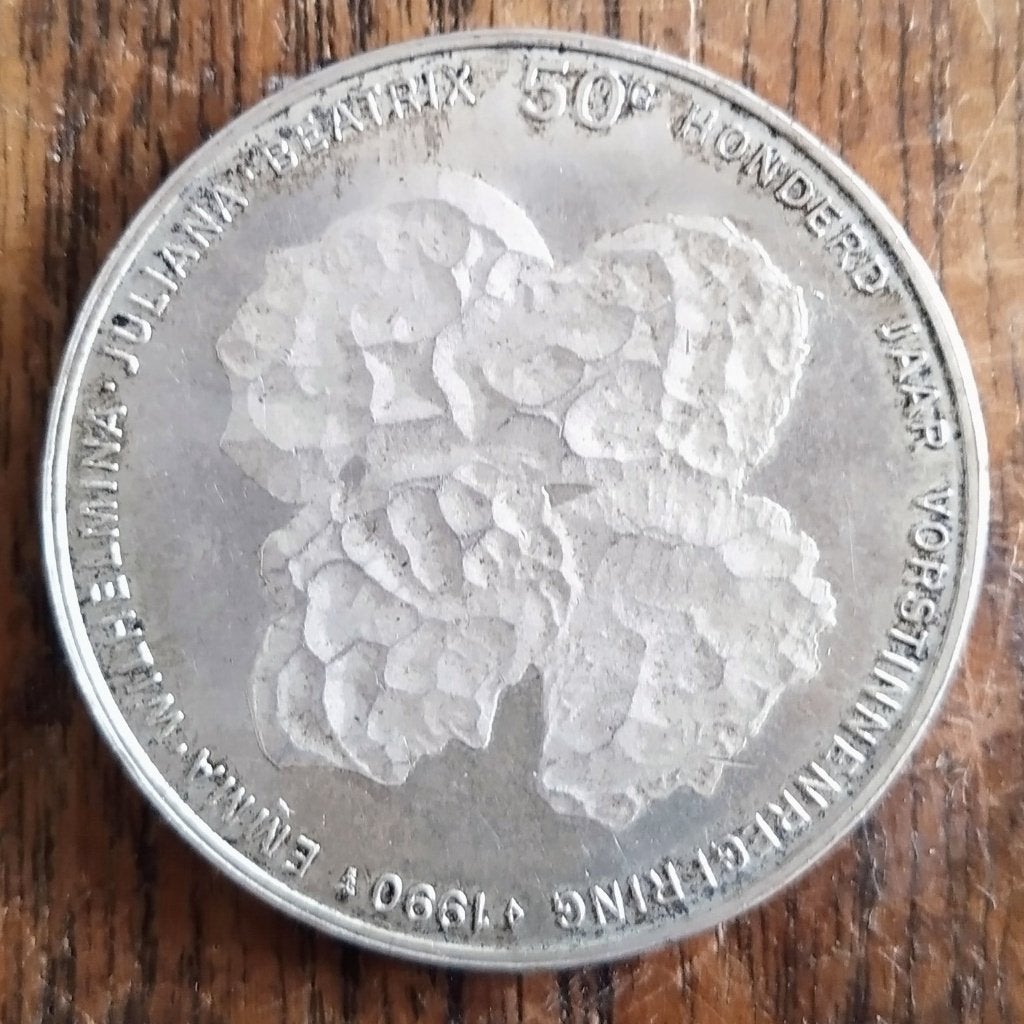 Zilveren herdenkingsmunt 100 jaar voorstinnen, Koningin Beatrix, Zilver, Ophalen of Verzenden, Losse munt