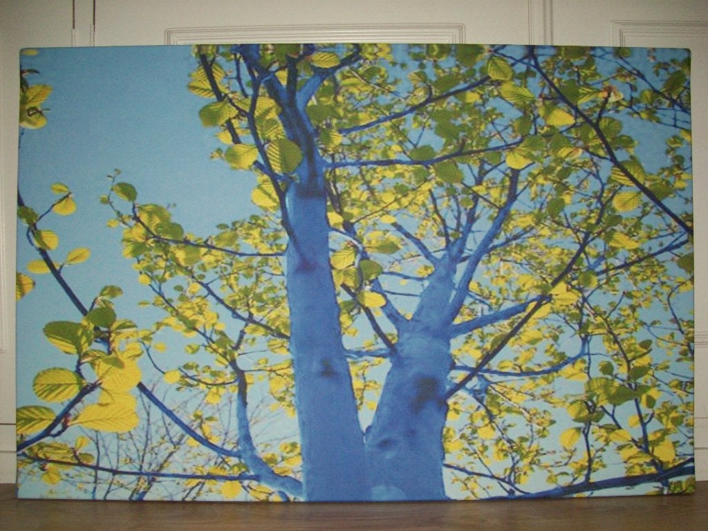 2 st. camvas schilderij, 50 – 75, Ophalen of Verzenden, Zo goed als nieuw, Schilderij