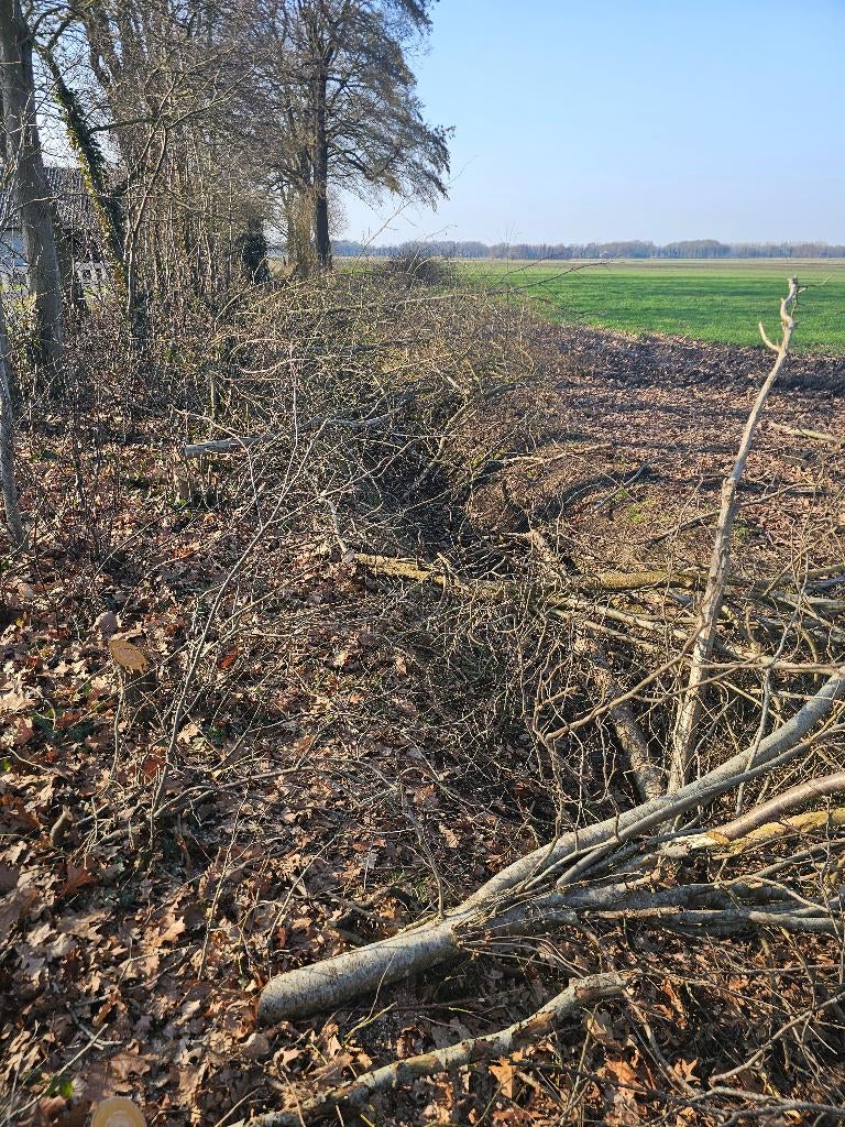 Brand hout, Tuin en Terras, Haardhout, Minder dan 3 m³, Ophalen, Stammen