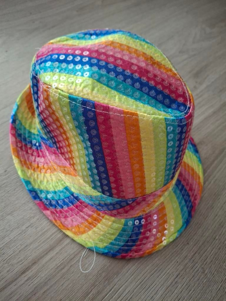 Kleurrijke pailletten hoed - One size fits all, Ophalen of Verzenden, Zo goed als nieuw, Jongen of Meisje