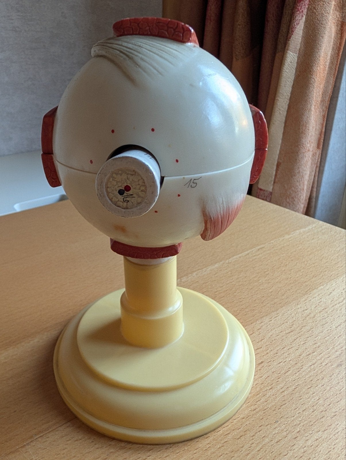 Vintage Anatomisch Oogmodel - Ontleedbaar, Ophalen, Gebruikt