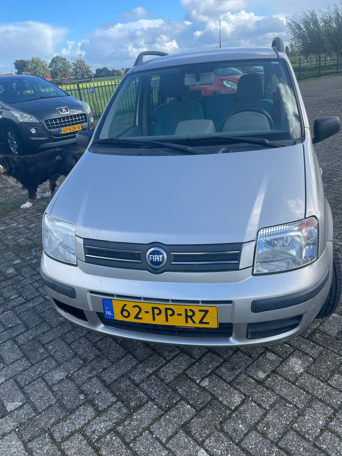 Fiat Panda 1.2 2004, Auto's, Origineel Nederlands, Bedrijf, Zilver of Grijs, 17 km/l