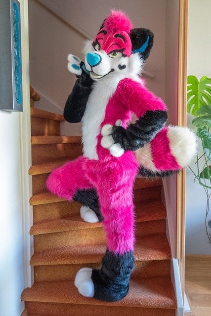 Fursuit, Ophalen of Verzenden, Zo goed als nieuw, Overige typen
