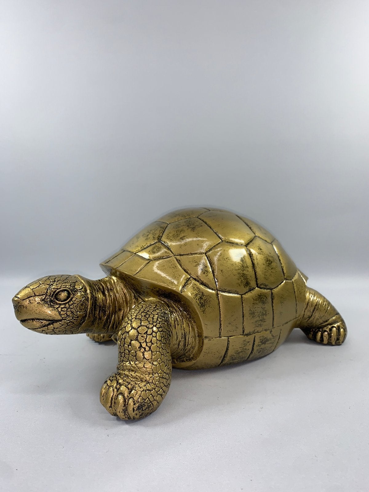 Schildpad - Decoratie - Shabella-deco, Shabella, Nieuw, Ophalen of Verzenden, Goud