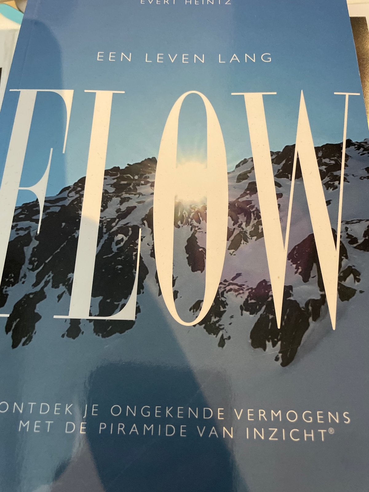 Flow: Ontdek je ongekende vermogens - Evert Heintz, Ophalen of Verzenden, Zo goed als nieuw, Overige onderwerpen