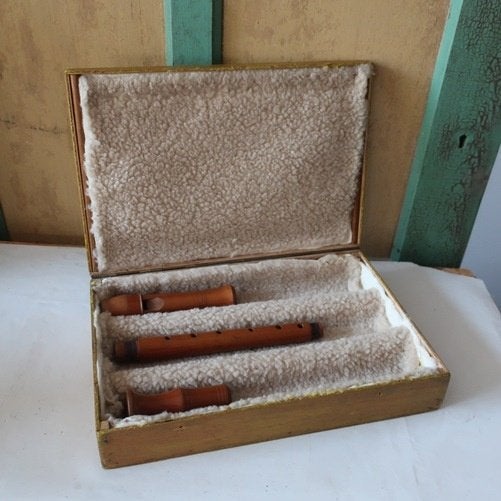 Blokfluit hout lengte 48,5 cm vintage retro in kist, Muziek en Instrumenten, Blaasinstrumenten | Blokfluiten, Ophalen of Verzenden