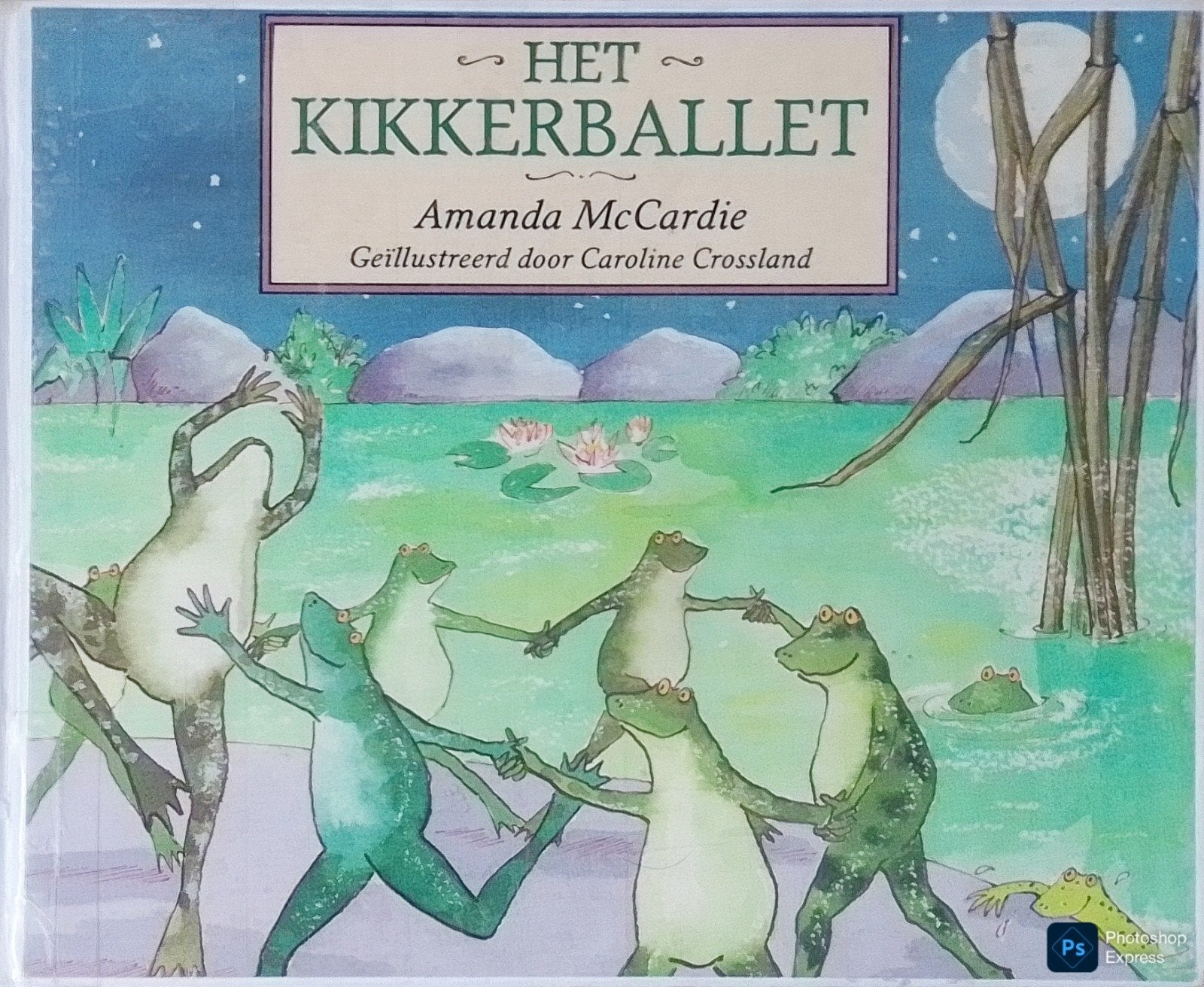Het Kikkerballet, Fictie algemeen, Jongen of Meisje, Ophalen of Verzenden, Voorleesboek