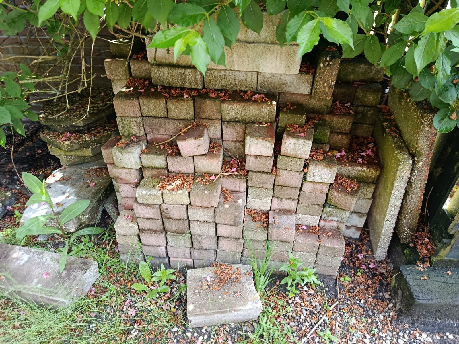 Stenen en borders gratis!, Tuin en Terras, Ophalen of Verzenden, Gebruikt, Beton, Klinkers