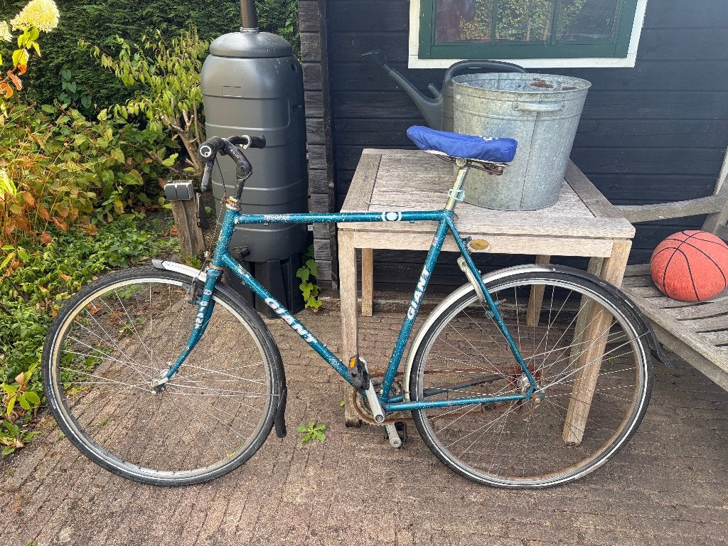 oude giant, Ophalen, Gebruikt, Giant