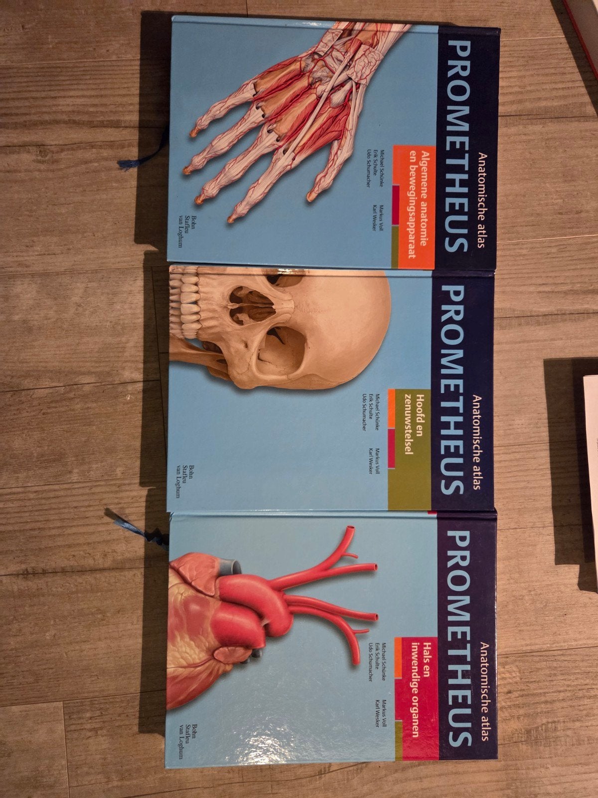 PROMETHEUS Anatomische Atlas - Complete Set (3 delen), Boeken, Zo goed als nieuw, Michael Schünke, Erik Schulte, Udo Schumacher