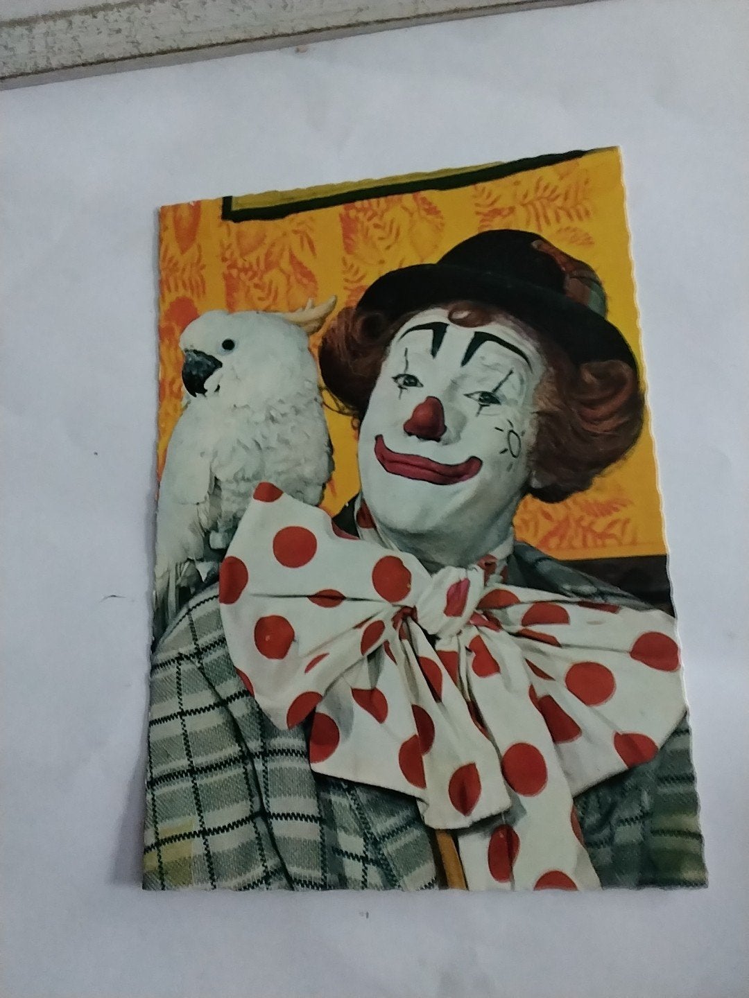 Oude ansichtkaart: PIPO DE CLOWN   met papegaai,, Ophalen of Verzenden, 1960 tot 1980, Gelopen