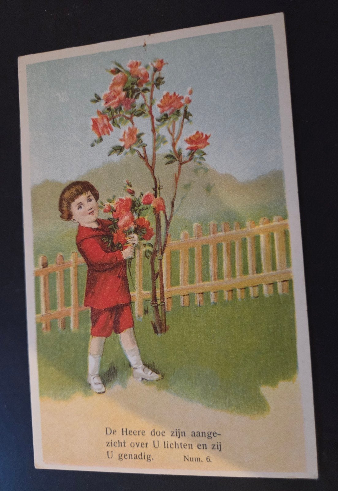 Jongen met Rozen en Bijbeltekst, Verzenden, 1940 tot 1960, Ongelopen, Kinderen