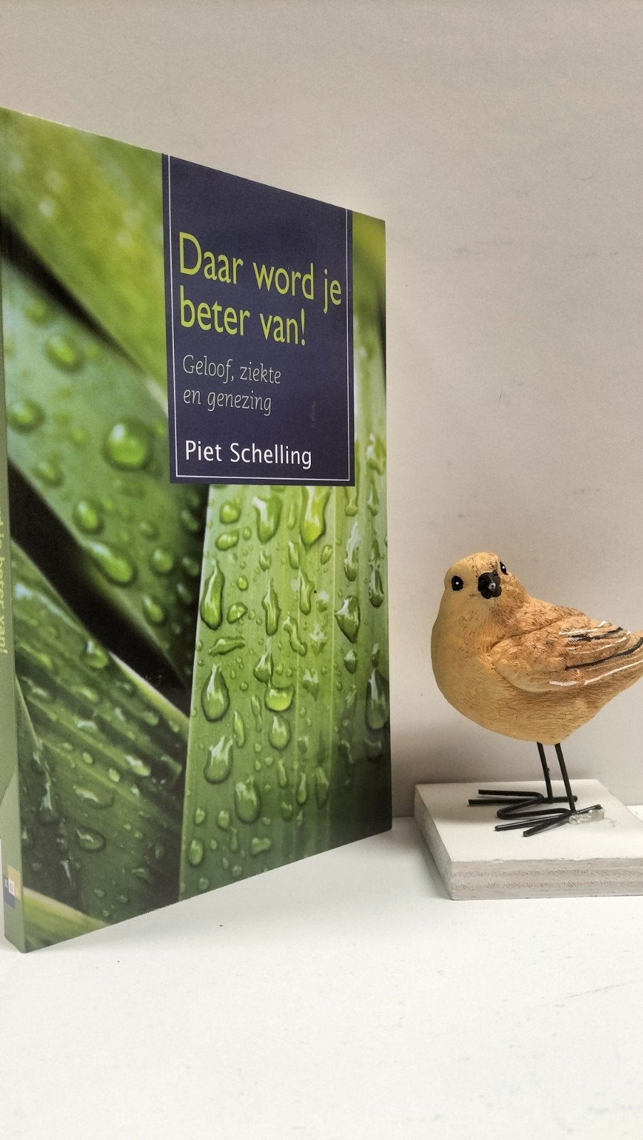 Schelling, Piet; Daar word je beter van!, Boeken, Ophalen of Verzenden, Gelezen, Christendom | Protestants