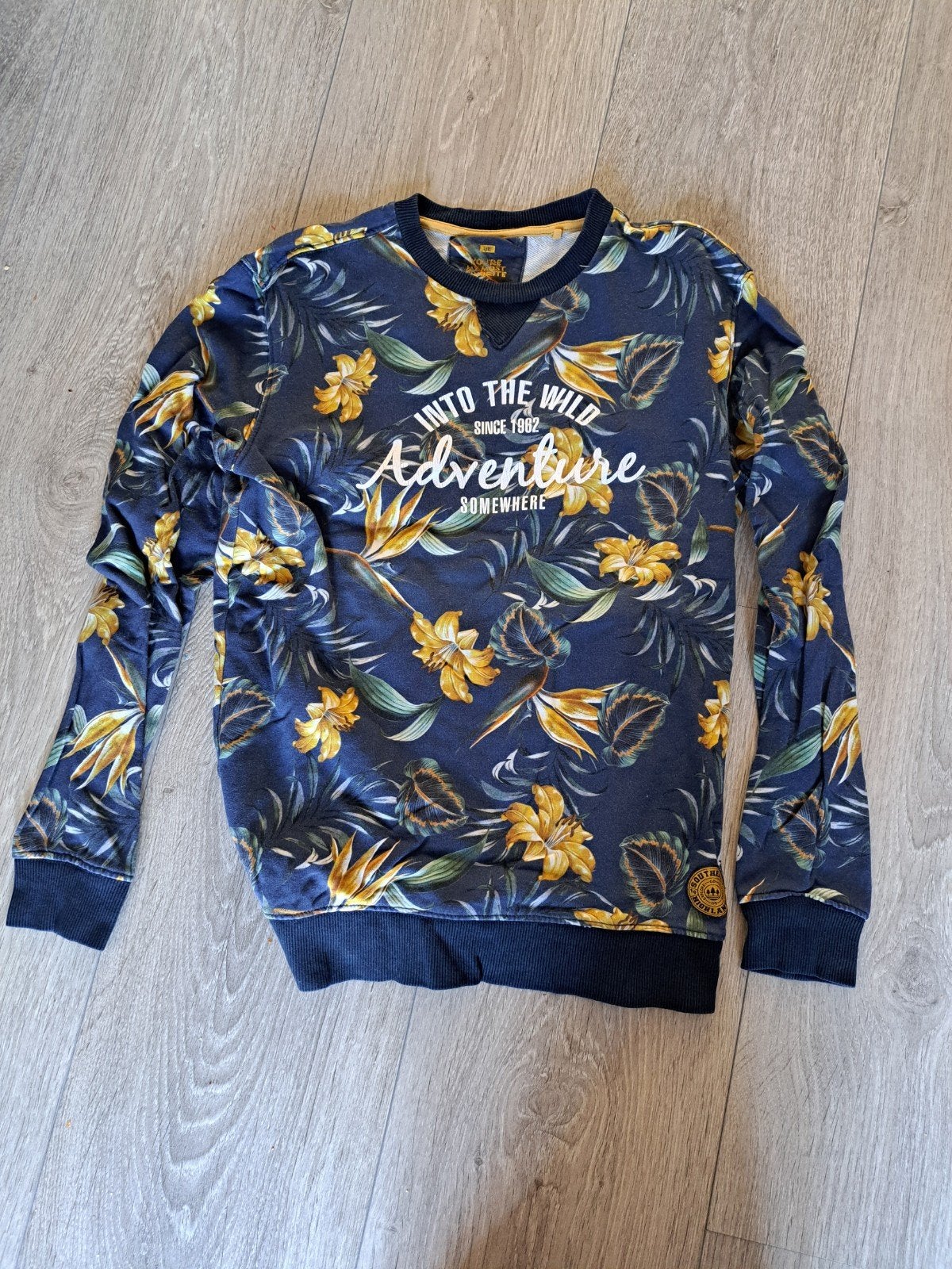 WE trui maat 170 / 176, Kinderen en Baby's, Kinderkleding | Maat 170, Ophalen of Verzenden, Zo goed als nieuw, Jongen, Trui of Vest