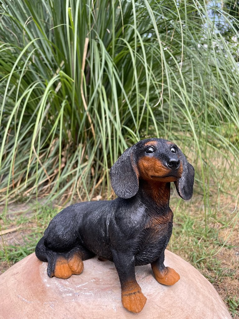 Beeld teckel, tekkel, zittend  zwart , tuin, kado 30 cm, Ophalen of Verzenden, Nieuw, Kunststof, Dierenbeeld