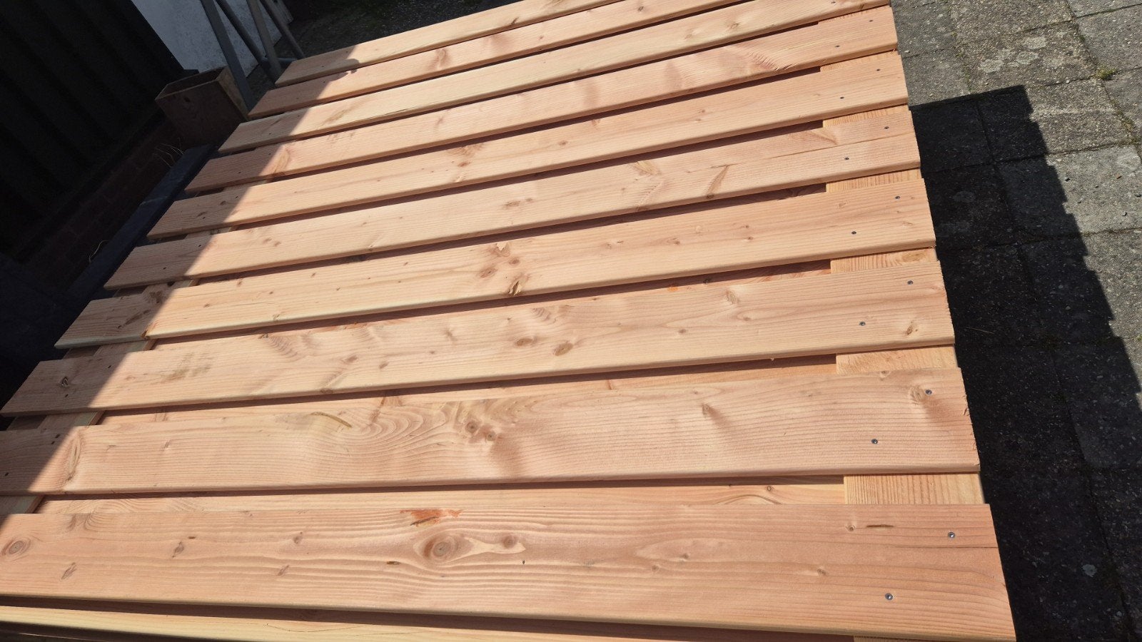 50 stuks nieuwe douglasschermen te koop, 1 tot 2 meter, Minder dan 3 meter, Nieuw, Ophalen of Verzenden