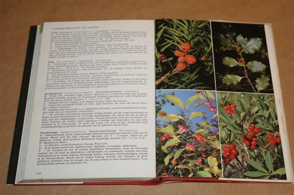Thieme\'s gids voor geneeskrachtige planten., Boeken, Ophalen of Verzenden, Gelezen, Overige onderwerpen, Achtergrond en Informatie