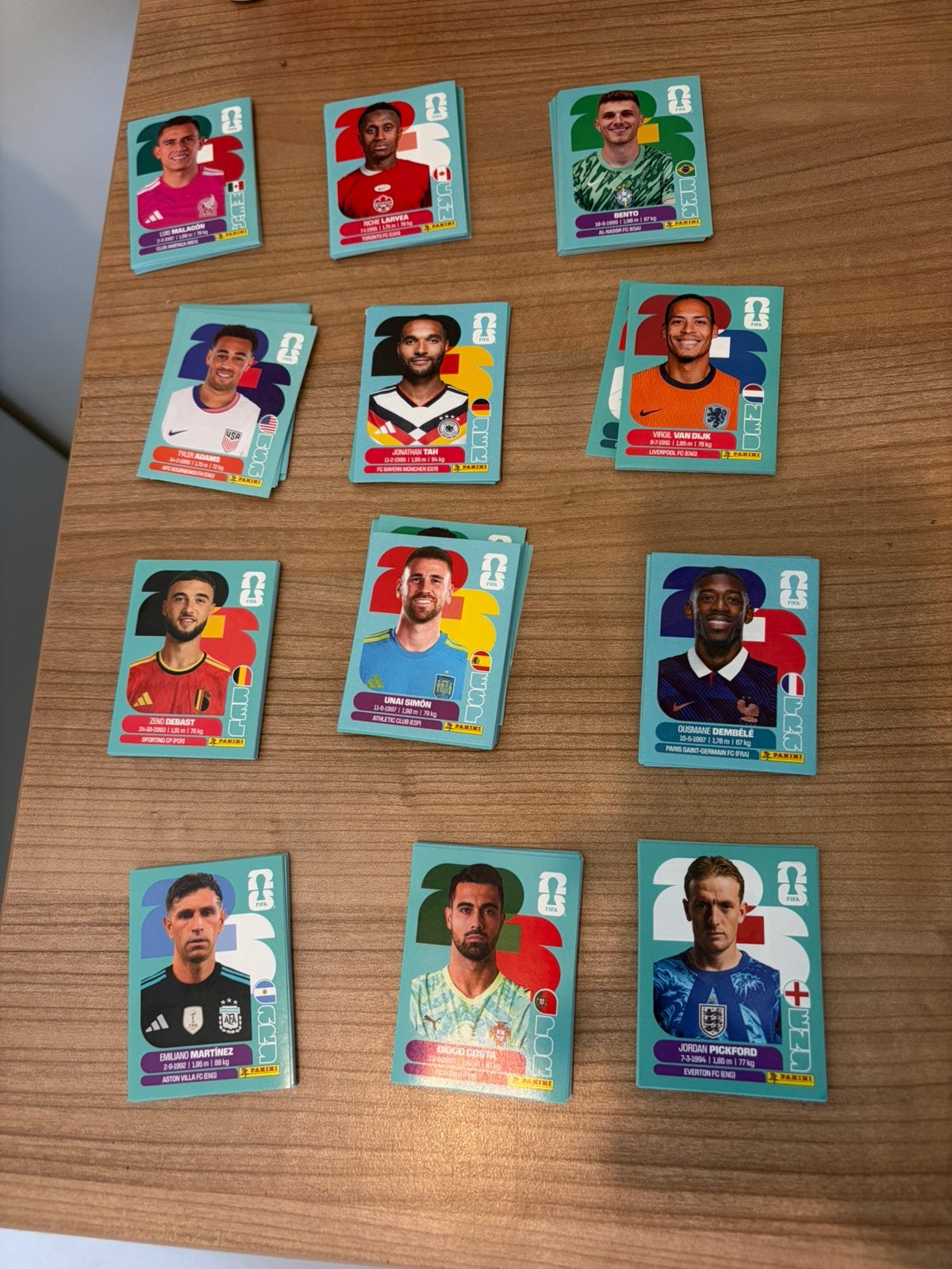 PANINI WK STICKER RUILEN, Ophalen of Verzenden, Zo goed als nieuw, Sticker