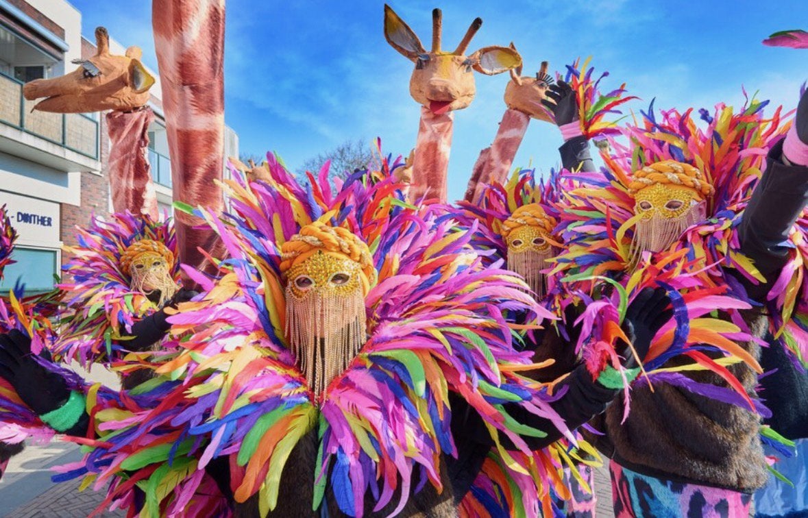 Carnavalskostuum 6x met veren, giraffeprint en accessoires., Carnaval, Zo goed als nieuw, Kleding, Ophalen