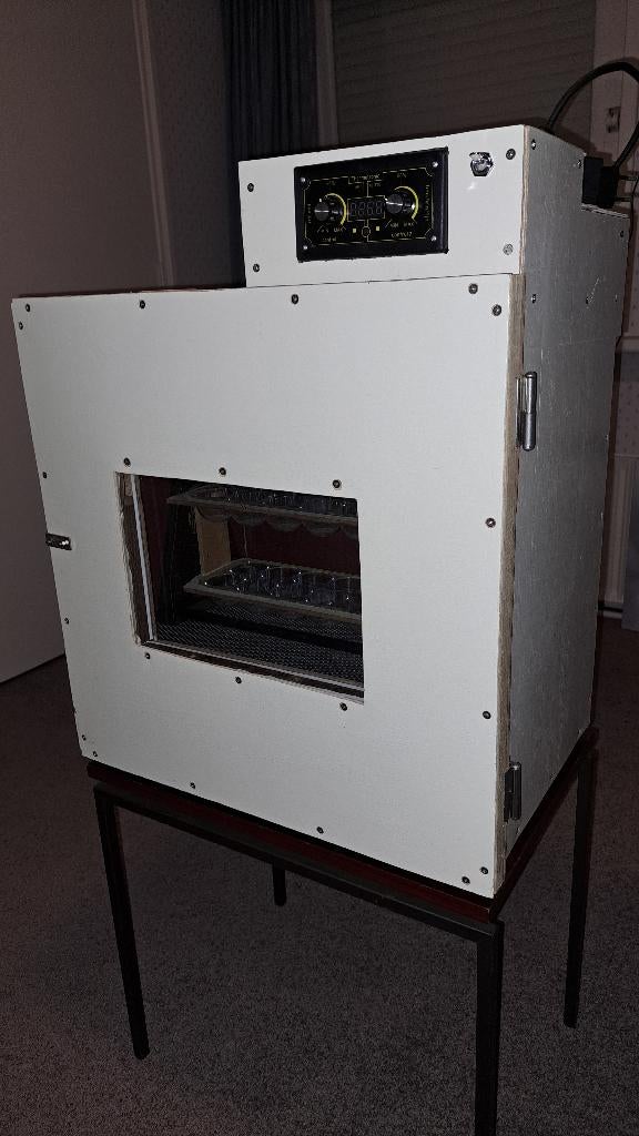 Broedmachine, Dieren en Toebehoren, Pluimvee, Geslacht onbekend, Kip
