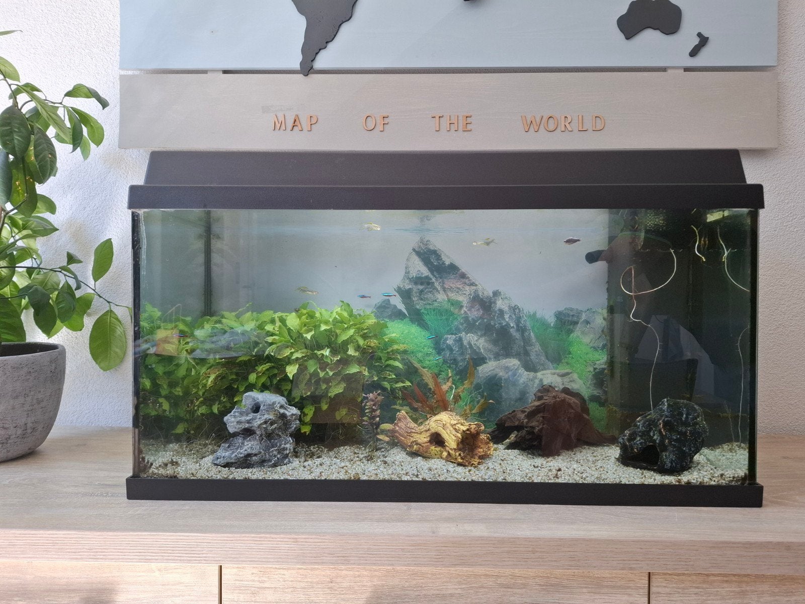 Juwel Primo 110 inclusief accessoires, Ophalen of Verzenden, Inclusief vissen, Gevuld zoetwateraquarium, Juwel