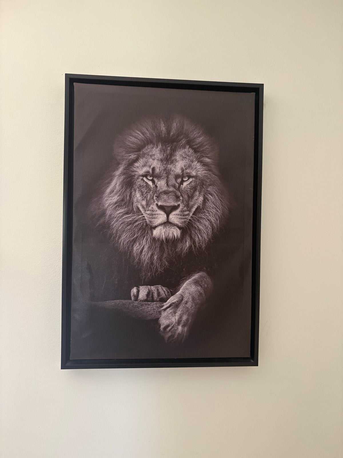 Prachtige ingelijste zwart-wit leeuwenprint, Antiek en Kunst, Ophalen, Print, Print/reproductie, Ingelijst