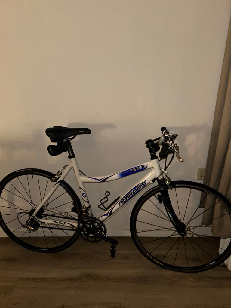 Ridley Racefiets, Ophalen, Zo goed als nieuw, Meer dan 20 versnellingen, Overige merken