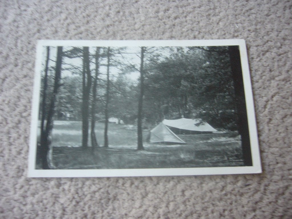 RUINEN  =  KAMPWEIDE OP DE WILTZANGH, Ophalen of Verzenden, 1940 tot 1960, Gelopen