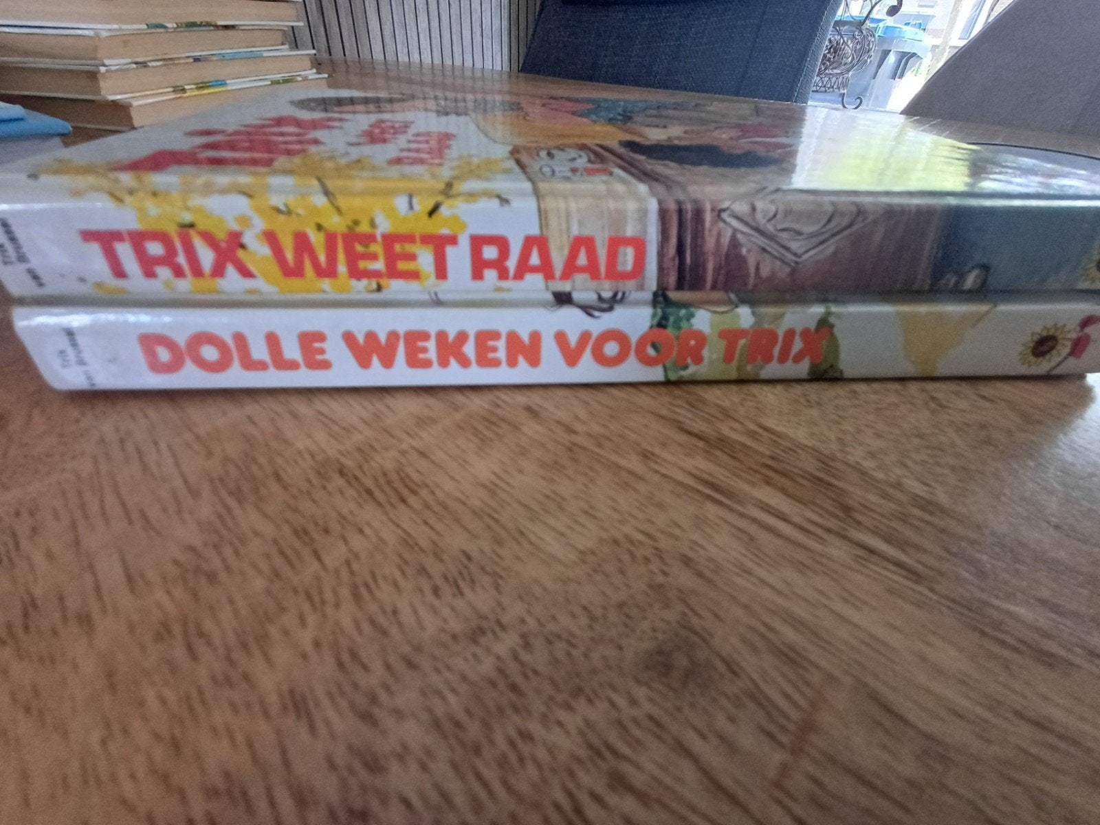Trix Weet Raad & Dolle Weken voor Trix - Jeugdboeken, Ophalen of Verzenden, Gelezen, Trix van Brussel, Fictie