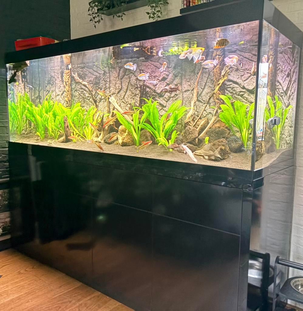 Aquatlantis sublime 200x60 met onderkast zwart, Dieren en Toebehoren, Vissen | Aquaria en Toebehoren, Ophalen, Zo goed als nieuw