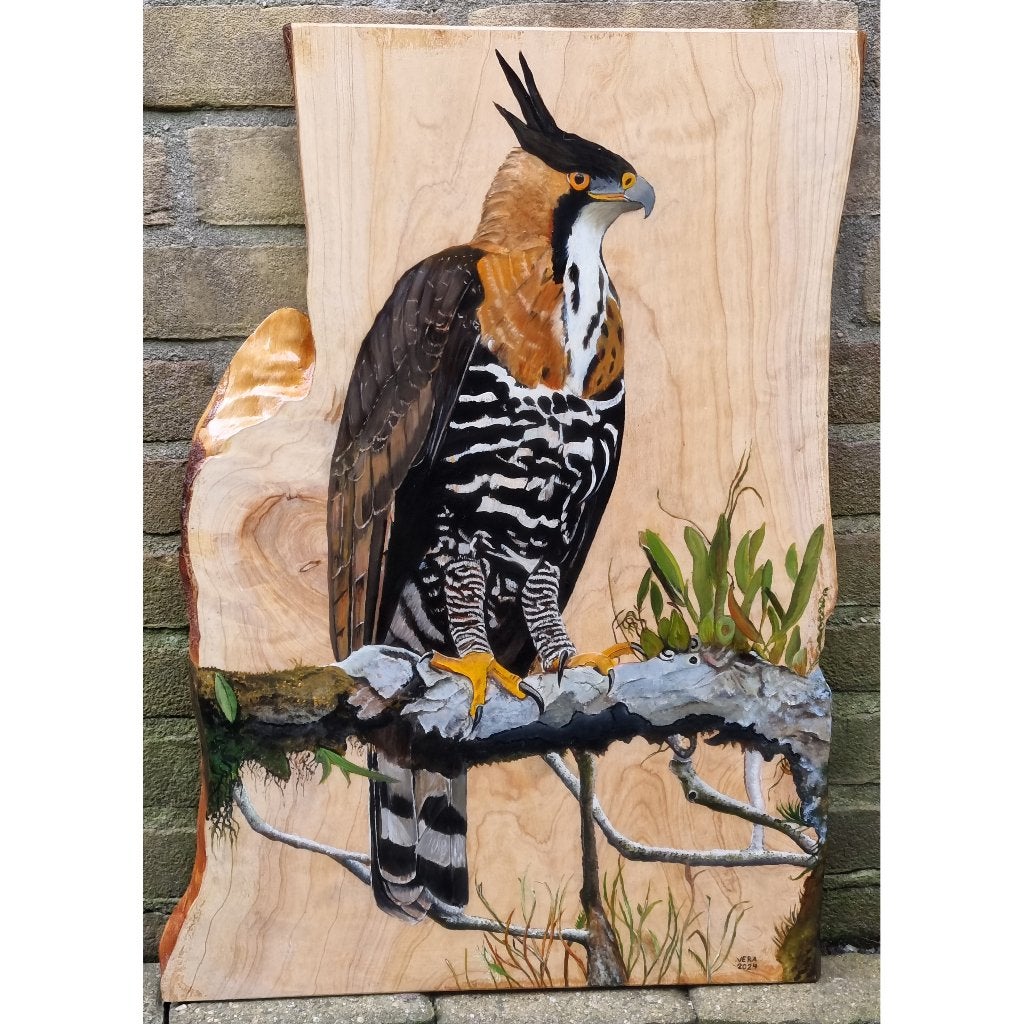 Schilderij kuifarend op hout voor huis of tuin, Realistisch, Overige ondergronden, Dieren, Ophalen of Verzenden