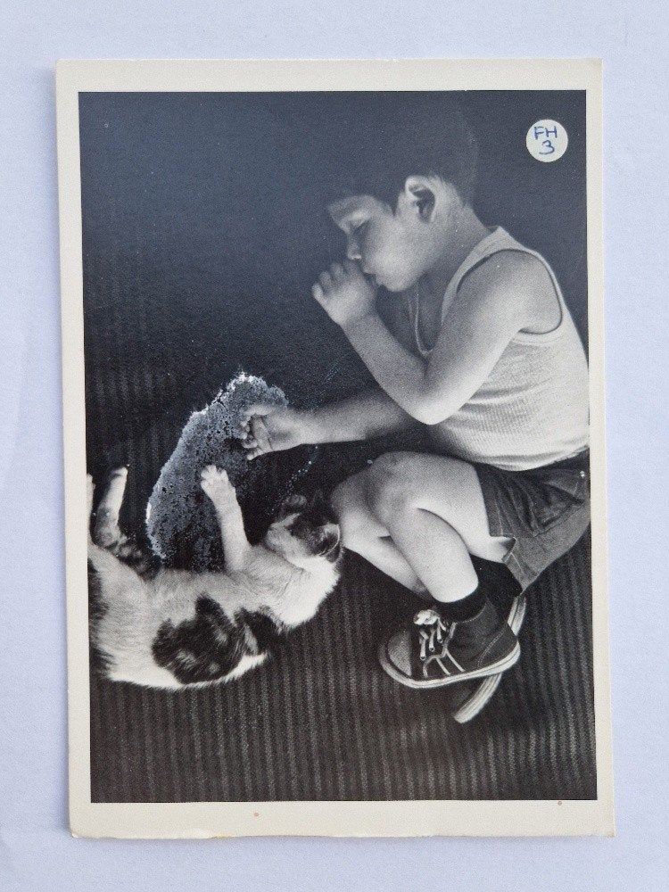 Kind met Kitten. Frank Horvat. Lorenzo Avec Chat 1960, Verzamelen, Ansichtkaarten | Themakaarten, Verzenden, 1940 tot 1960, Ongelopen